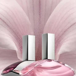 Mujer CALVIN KLEIN EUPHORIA EDT