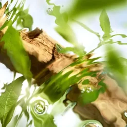 Mujer LANCÔME ÔFF NOW