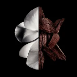 Hombre GIVENCHY Gentleman Boisée