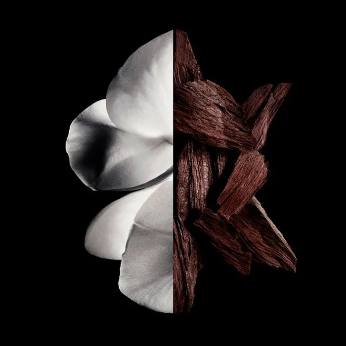 Hombre GIVENCHY Gentleman Boisée