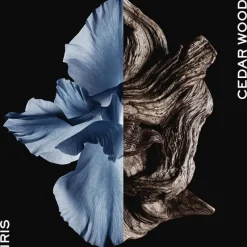 Hombre GIVENCHY Gentleman Intense