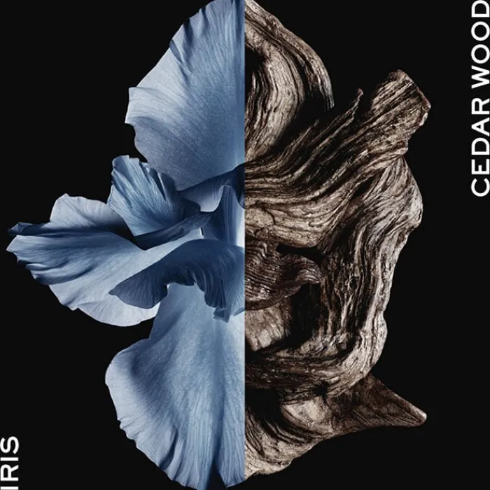 Hombre GIVENCHY Gentleman Intense