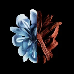 Hombre GIVENCHY Gentleman Réserve Privée