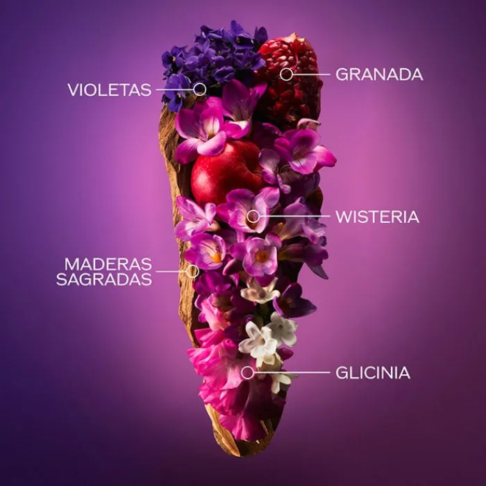 Mujer SHISEIDO GINZA MURASAKI