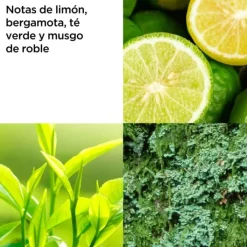 Mujer ELIZABETH ARDEN Green Tea