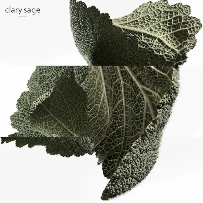 Hombre HERMÈS H24 EDP