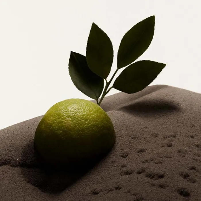 Hombre BURBERRY HERO