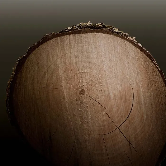 Hombre BURBERRY HERO PARFUM