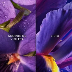 Mujer GUERLAIN Insolence Estuche