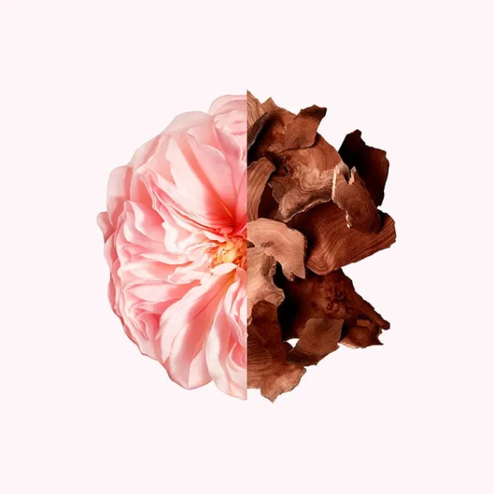 Mujer GIVENCHY Irresistible