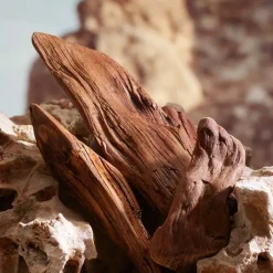 Hombre DOLCE & GABBANA K BY PARFUM