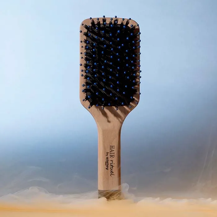 Hair Rituel by Sisley La Brosse de Poche