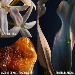 Mujer RABANNE LADY MILLION