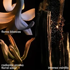 Mujer RABANNE LADY MILLION FABULOUS