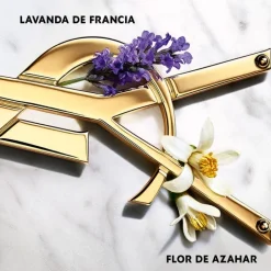 Mujer YVES SAINT LAURENT LIBRE