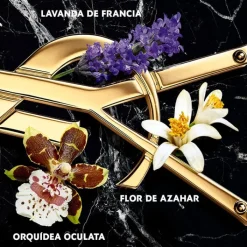 Mujer YVES SAINT LAURENT LIBRE INTENSE