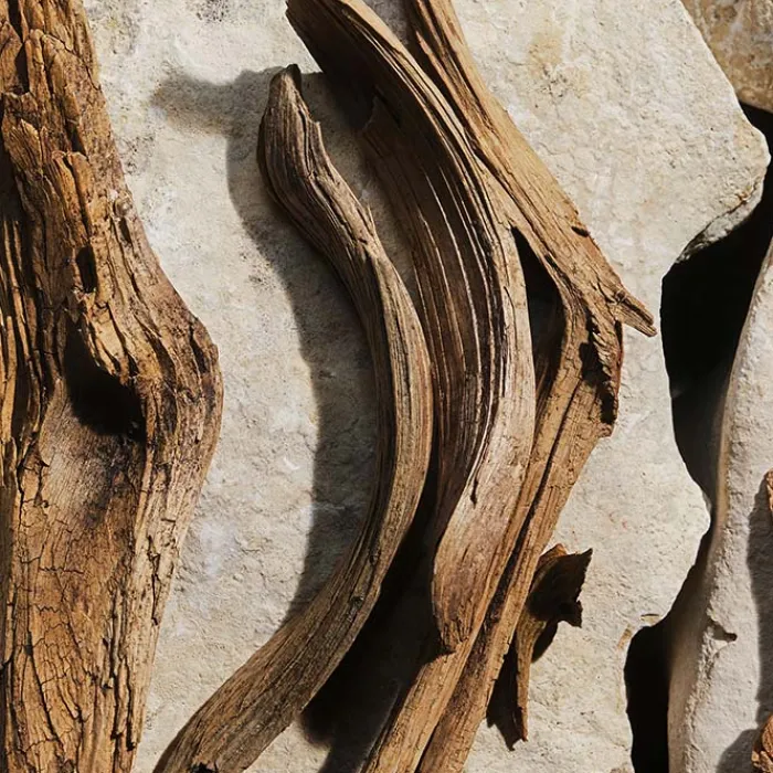 Mujer DOLCE & GABBANA LIGHT BLUE