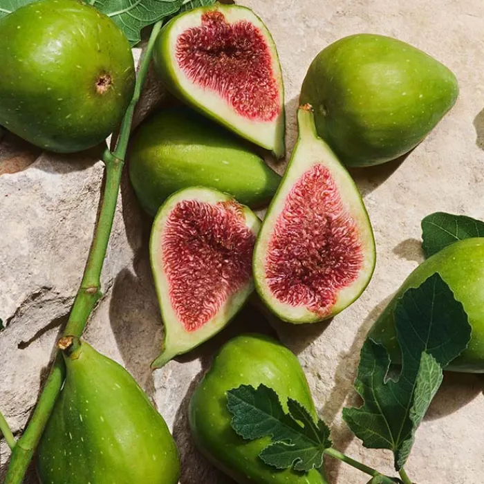 Hombre DOLCE & GABBANA LIGHT BLUE CAPRI IN LOVE Pour Homme