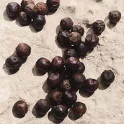 Hombre DOLCE & GABBANA LIGHT BLUE CAPRI IN LOVE Pour Homme