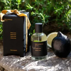 Mujer Miller et Bertaux Limone Nero