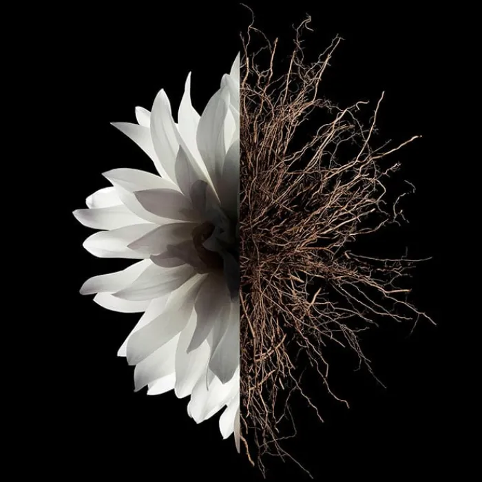 Mujer GIVENCHY L'Interdit