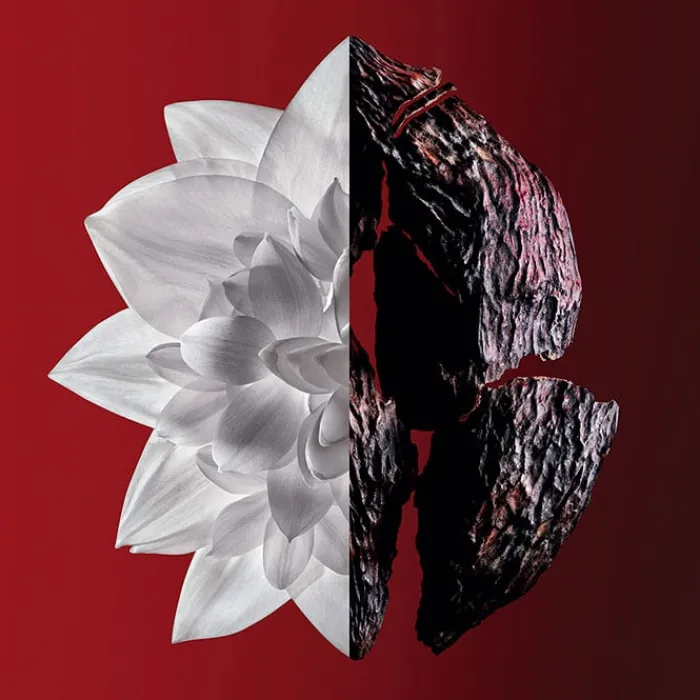 Mujer GIVENCHY L'Interdit Rouge Ultime