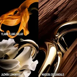 Mujer RABANNE MILLION GOLD FOR HER PARFUM