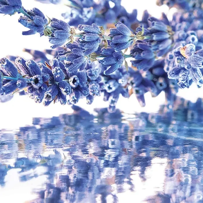 Mujer GUERLAIN Mon EDP