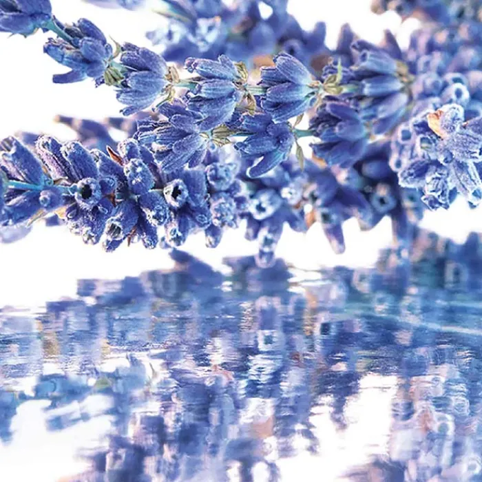 Mujer GUERLAIN Mon EDP Estuche