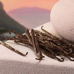 Mujer DOLCE & GABBANA MY DEVOTION