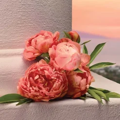 Mujer DOLCE & GABBANA MY DEVOTION