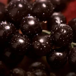 Mujer CALVIN KLEIN MY EUPHORIA