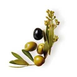 Original Remedies Oliva Mítica Aceite