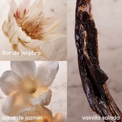 Mujer RABANNE OLYMPEA