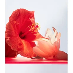 Mujer BVLGARI Omnia Coral