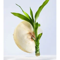 Mujer BVLGARI Omnia Crystalline