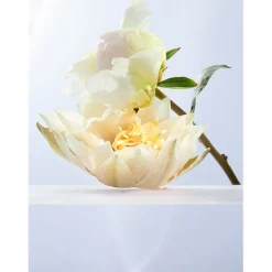 Mujer BVLGARI Omnia Crystalline