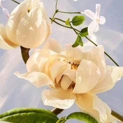 Mujer BVLGARI Omnia Crystalline EDP