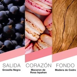 Mujer Prêt à Porter Paris