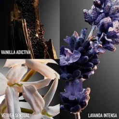 Hombre RABANNE PHANTOM INTENSE