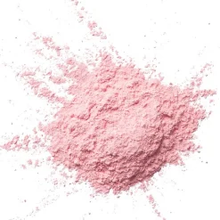 Wet N Wild Photo Focus Loose Setting Polvos Sueltos