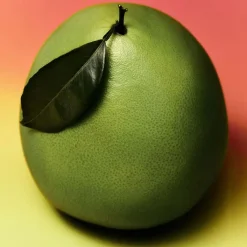 Mujer ADOLFO DOMÍNGUEZ Pomelo