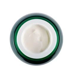 Hombre HELENA RUBINSTEIN Powercell Skinmunity Crema