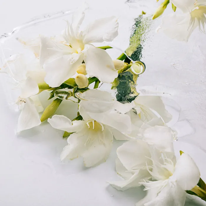 Hombre LOEWE SOLO ATLAS