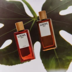 Hombre LOEWE SOLO ATLAS