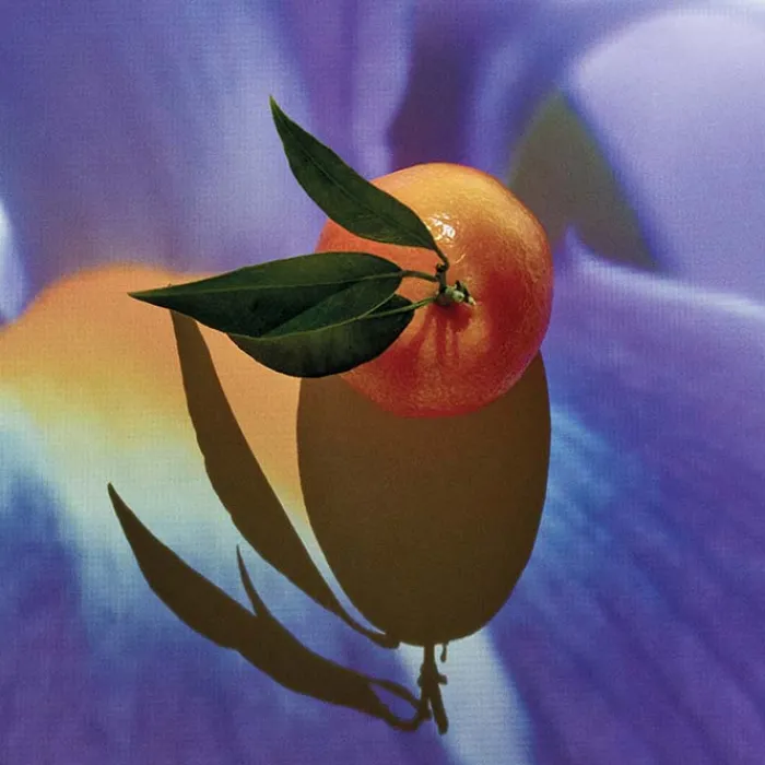 Hombre LOEWE SOLO ELIXIR