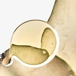 Mujer LOEWE SOLO ELLA ELIXIR