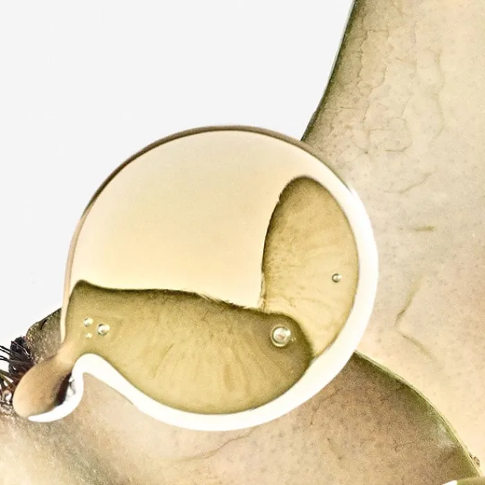 Mujer LOEWE SOLO ELLA ELIXIR