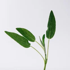 Hombre LOEWE SOLO VULCAN