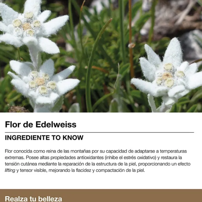 Bella Aurora SPLENDOR 60 Sérum Reafirmante